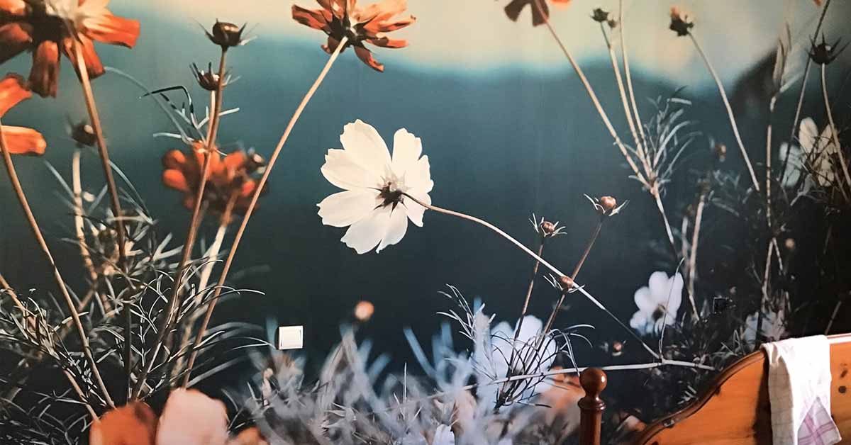 Photo Wallpaper with Flower Fields