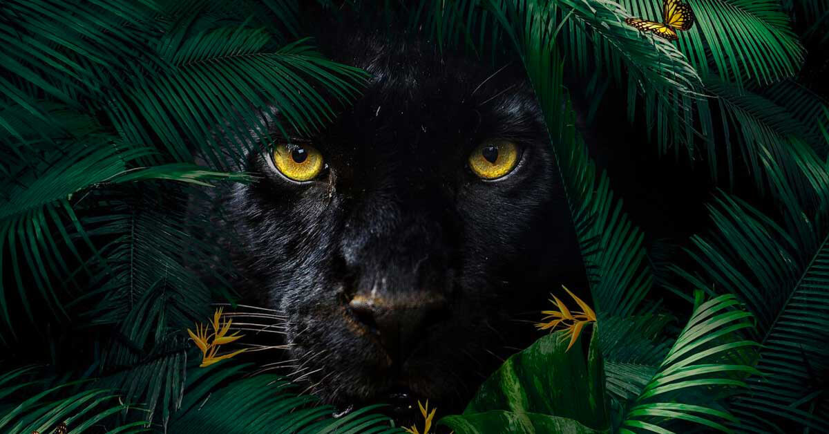 Botanic animals photo wallpaper