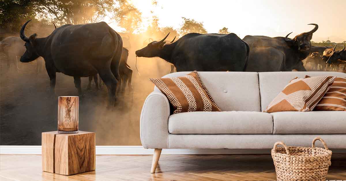 Wall mural with a buffalo