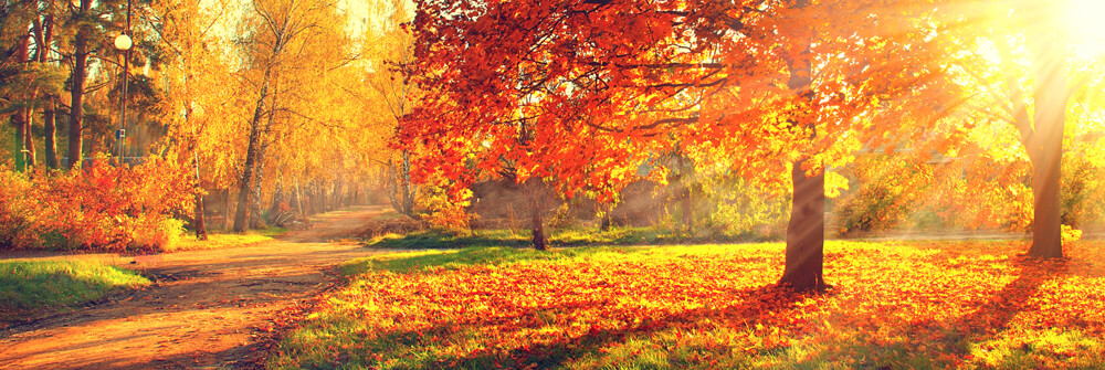 Autumn landscape on photo wallpaper Autumn landscape on photo wallpaper