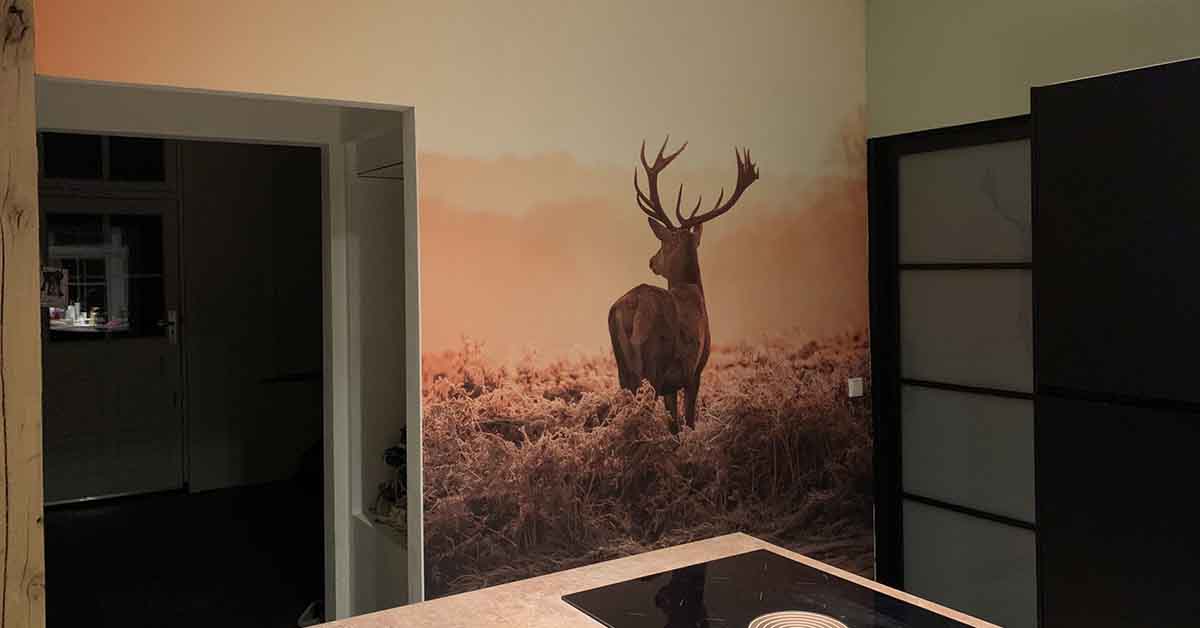 Wall mural with a deer