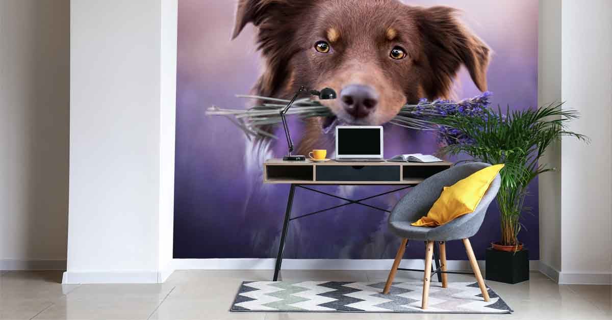 Wallpaper with Dogs