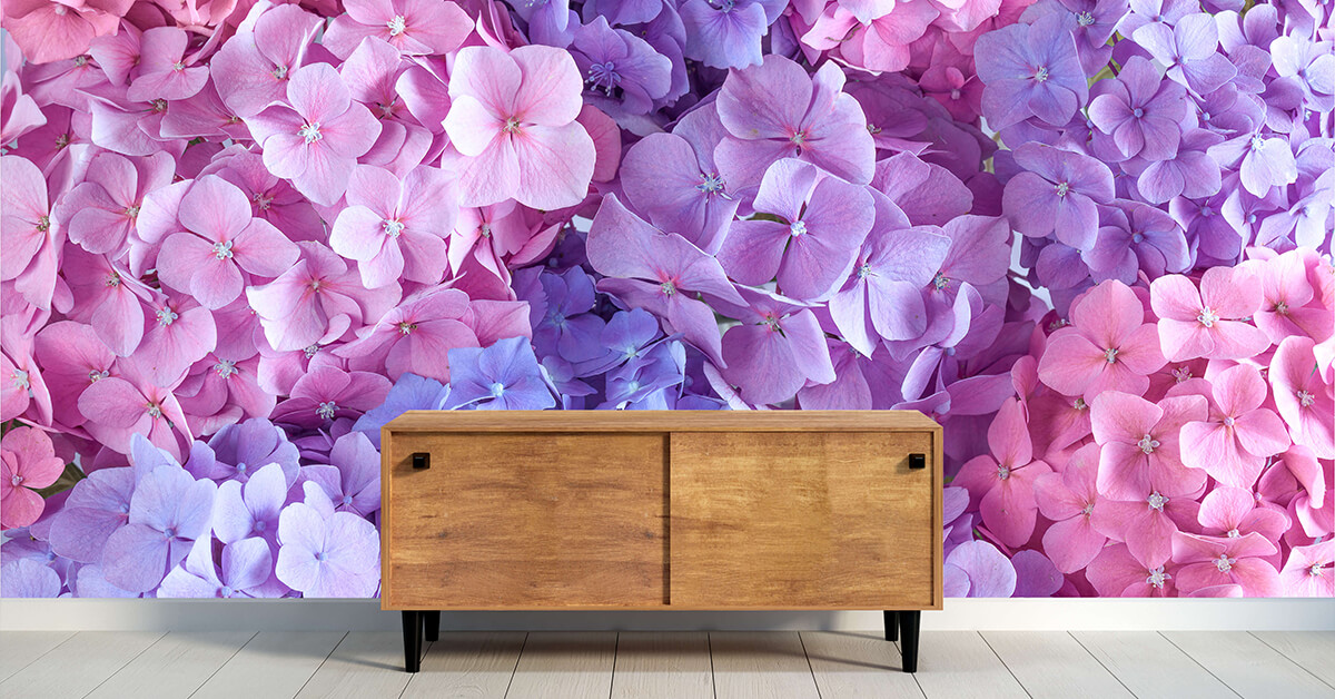 Photo Wallpaper with Hydrangea