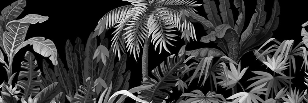 Jungle Photo Wallpaper in Black & White Jungle Photo Wallpaper in Black & White