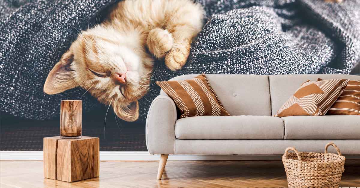 Wallpaper with cats