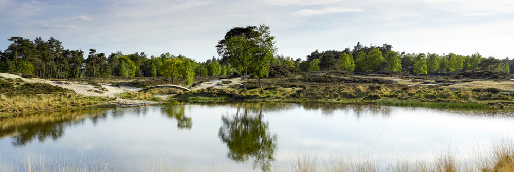Wallpaper with landscape Wallpaper with landscape