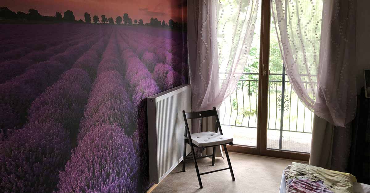 Lavender Wallpaper 