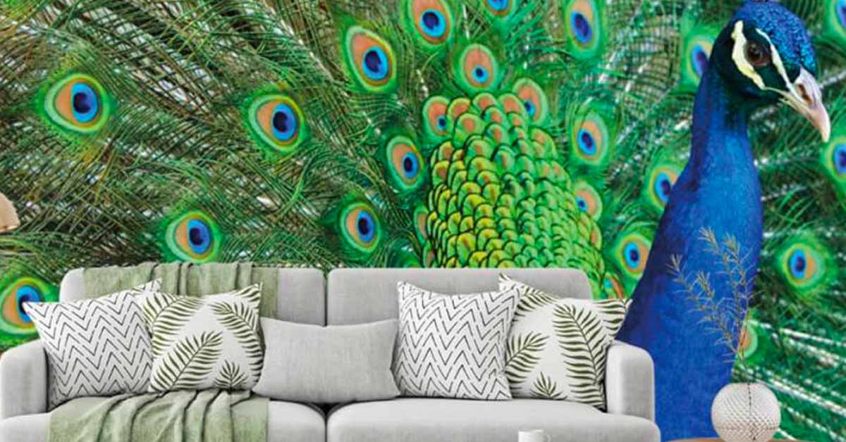 Peacocks photo wallpaper