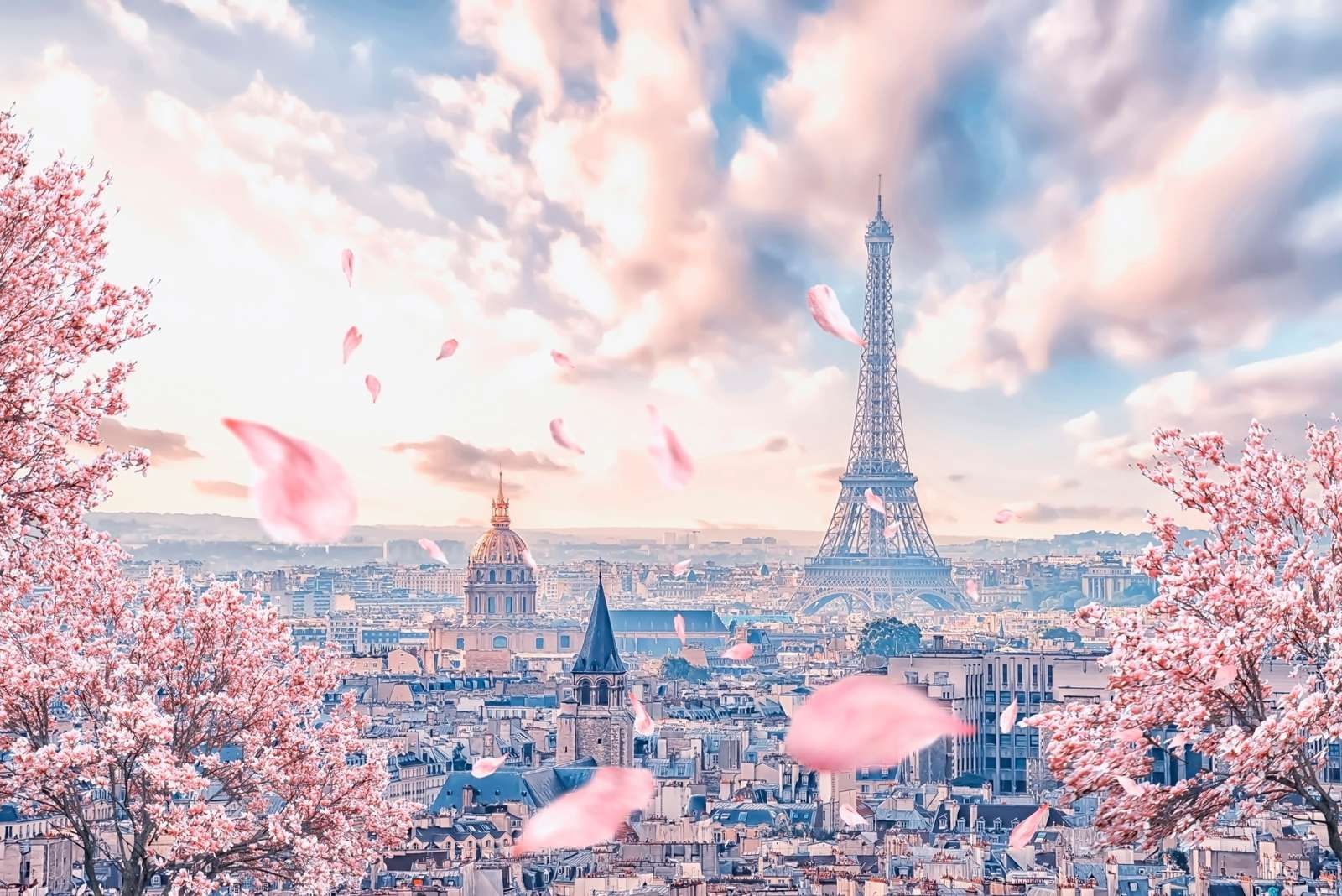 World Cities