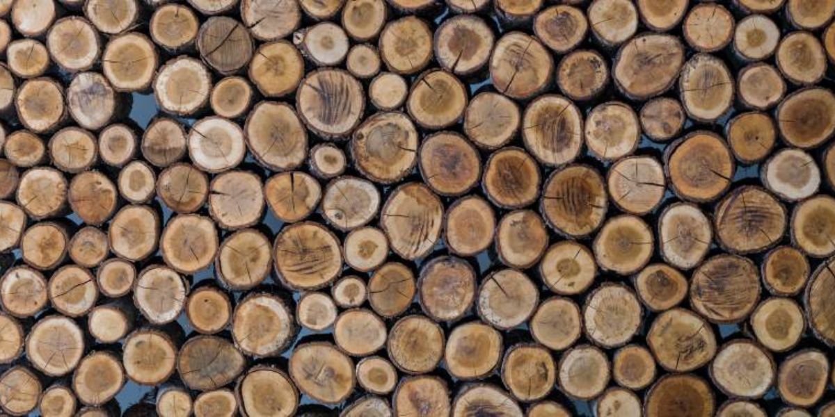 Split Logs wallpaper provides a robust and industrial look.