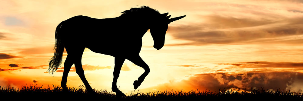 Unicorn photo wallpaper Unicorn photo wallpaper