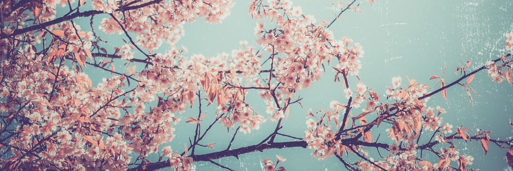 Retro and vintage wallpaper Retro and vintage wallpaper
