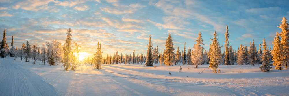 Winter landscape on photo wallpaper Winter landscape on photo wallpaper