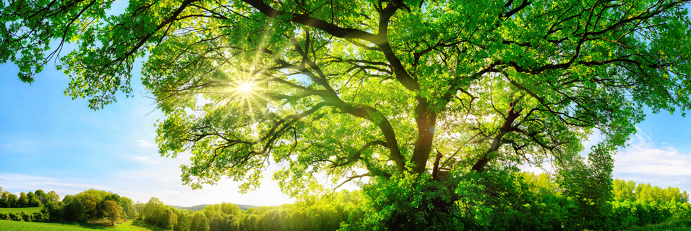 Summer Photo Wallpaper Summer Photo Wallpaper