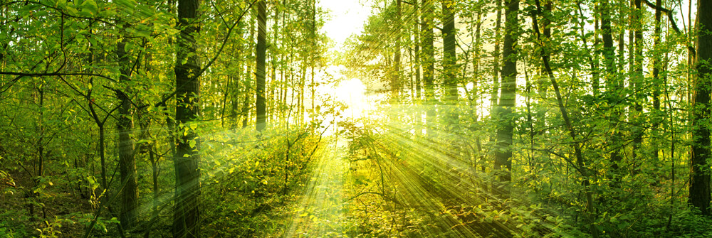 Sunset and Sunrise Wallpaper Sunset and Sunrise Wallpaper
