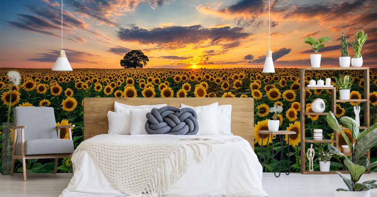 Photo Wallpaper with Sunflowers