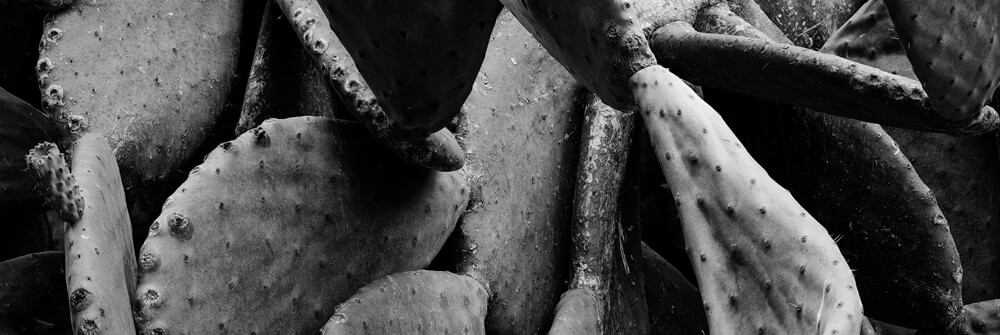 Wallpaper in Black and white Wallpaper in Black and white