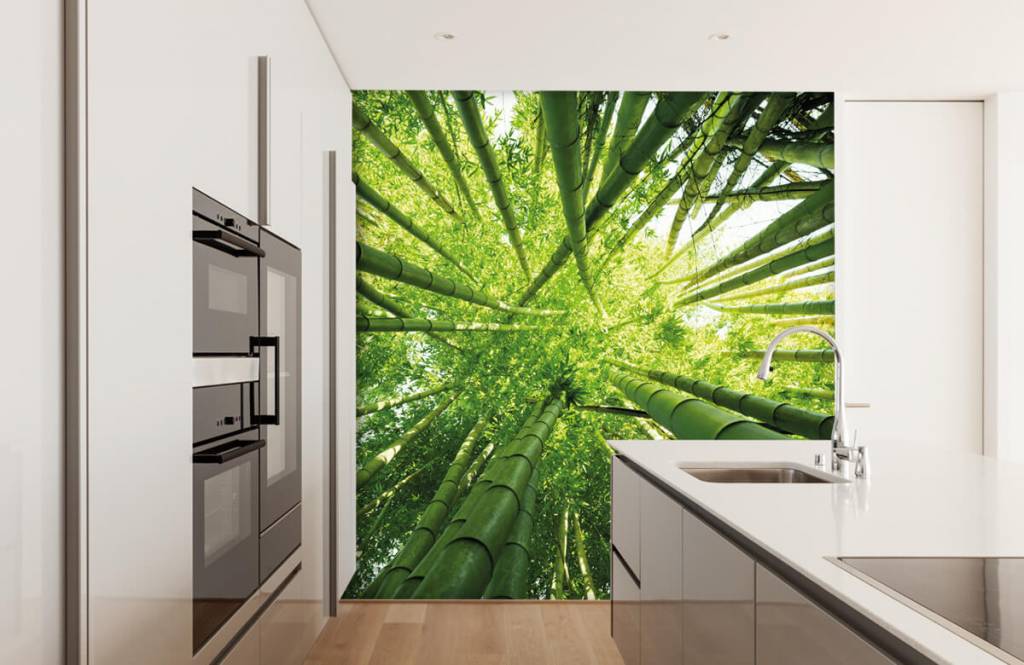 Forest wallpaper - Bamboo - Hallway 4