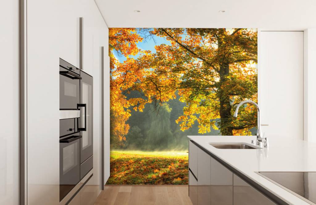 Forest wallpaper - Tree in autumn colors - Bedroom 1