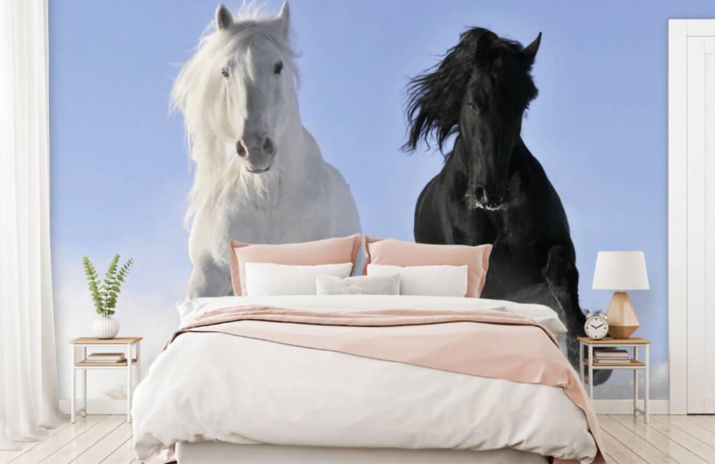 Horses - White and a black horse - Teenage room 2