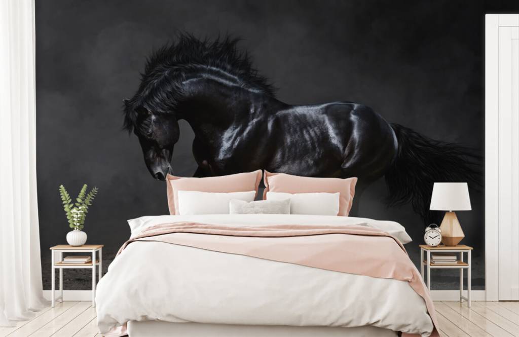 Horses - Black stallion - Children's room 2