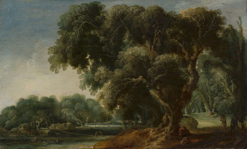 Imagined forest landscape