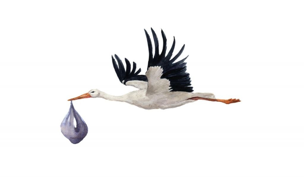 Flying Stork