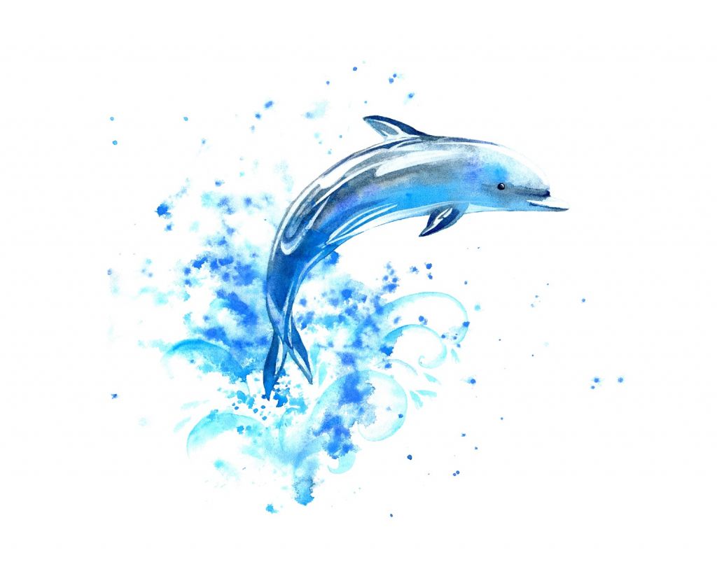 Jumping dolphin