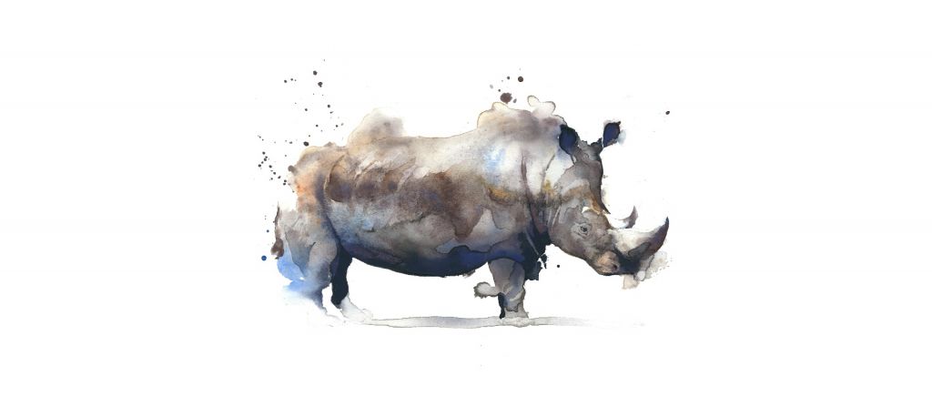 Rhinoceros in watercolor