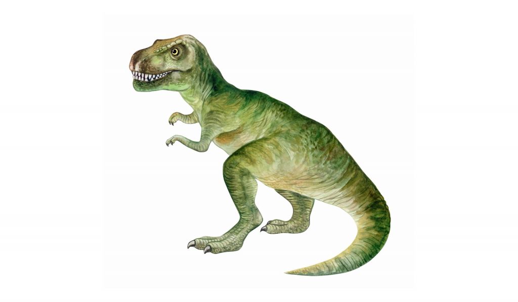 Tyrannosaurus of watercolor