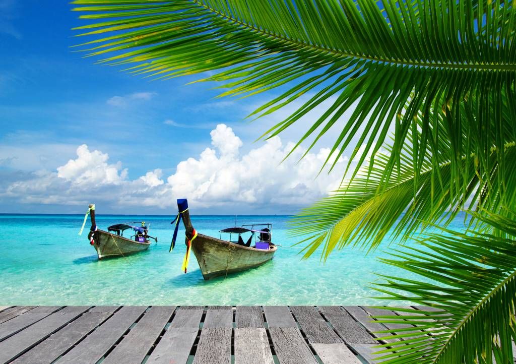 Boat and a palm tree