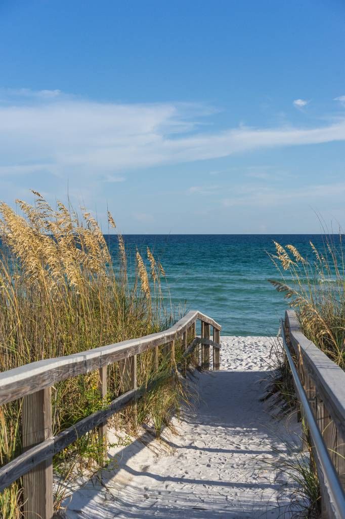 Beach Path