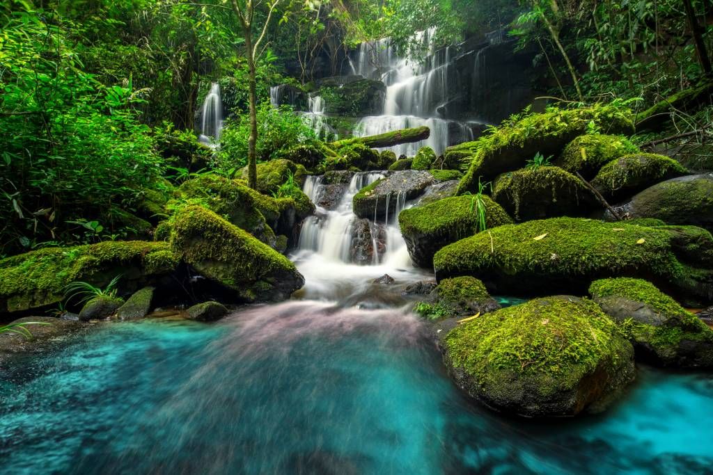 Waterfall in a jungle
