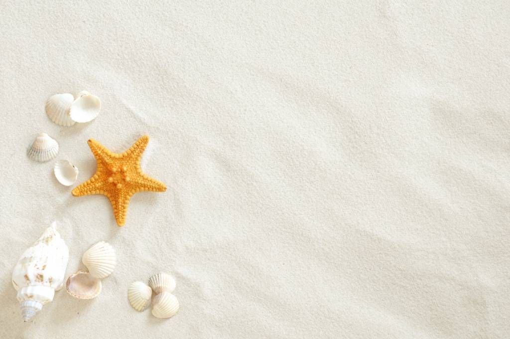 Starfish on white sand - Wallpaper
