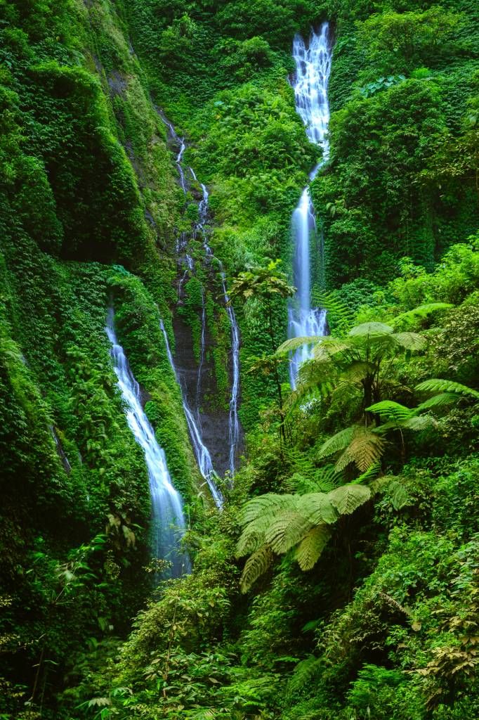 Green jungle and waterfalls
