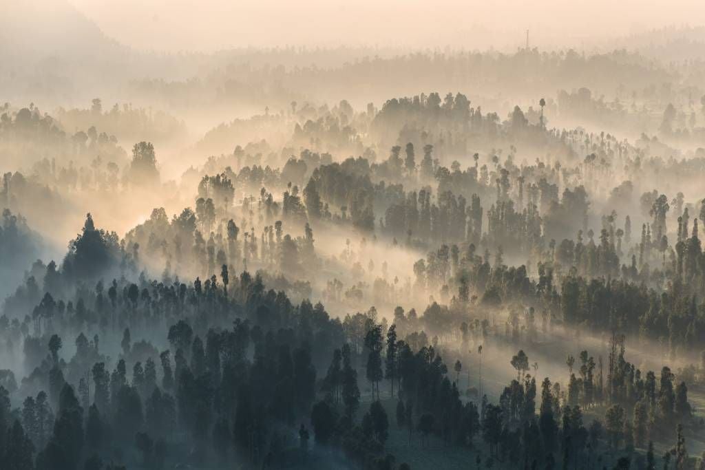 Foggy mountains in Indonesia