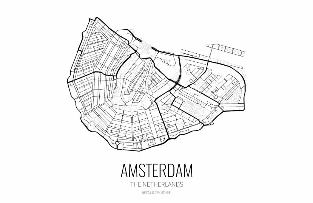 Unique map of Amsterdam