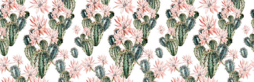 Cacti with flowers