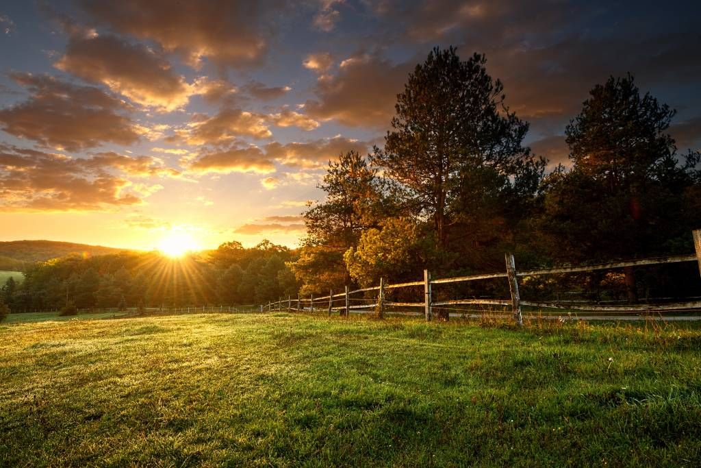 Pasture at sunset