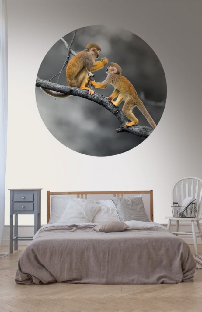 Wallpaper circle Squirrel monkeys