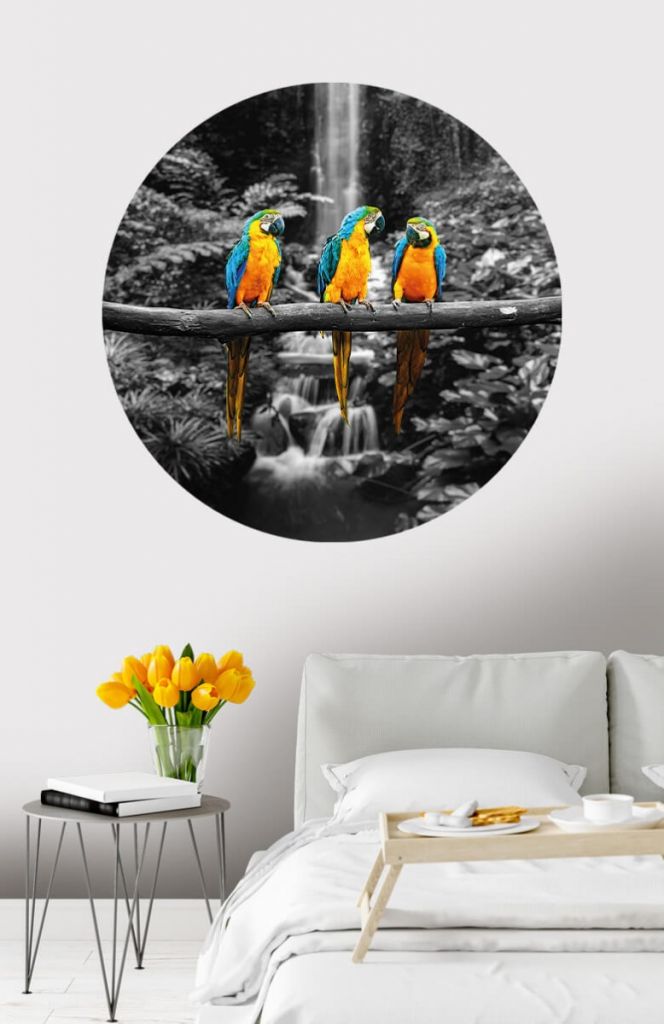 Wallpaper circle parrots