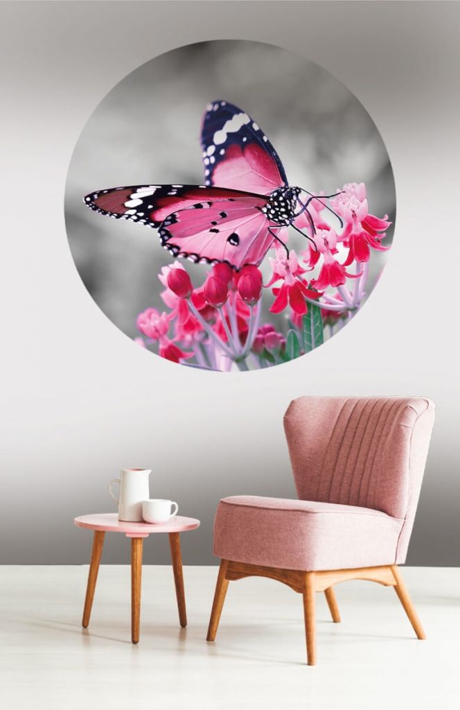 Wallpaper circle pink butterfly