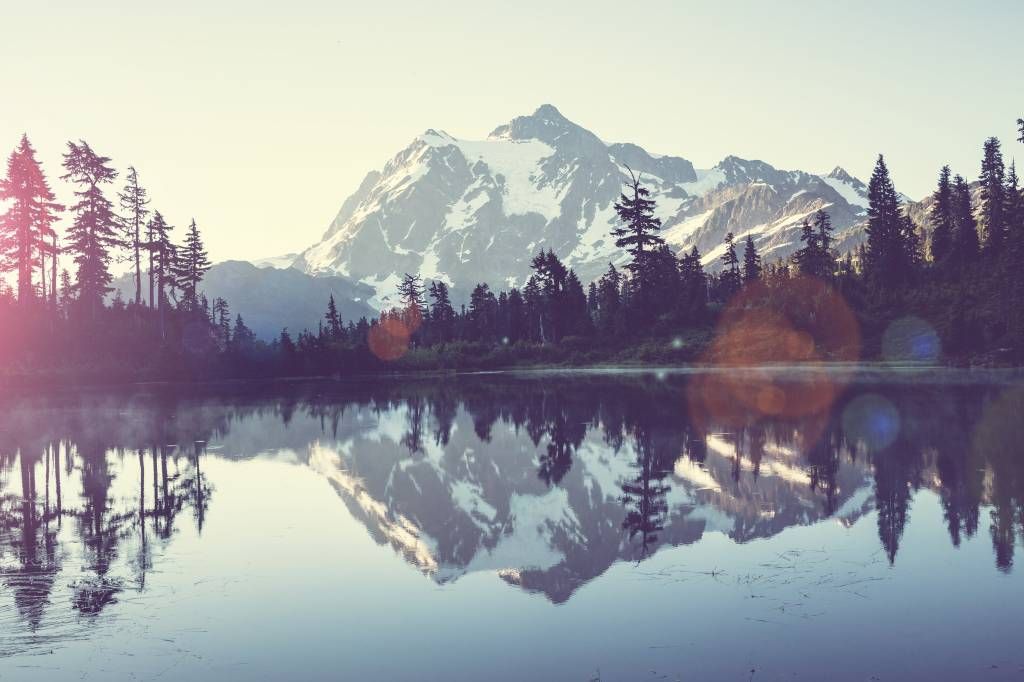 Mountain lake with forest