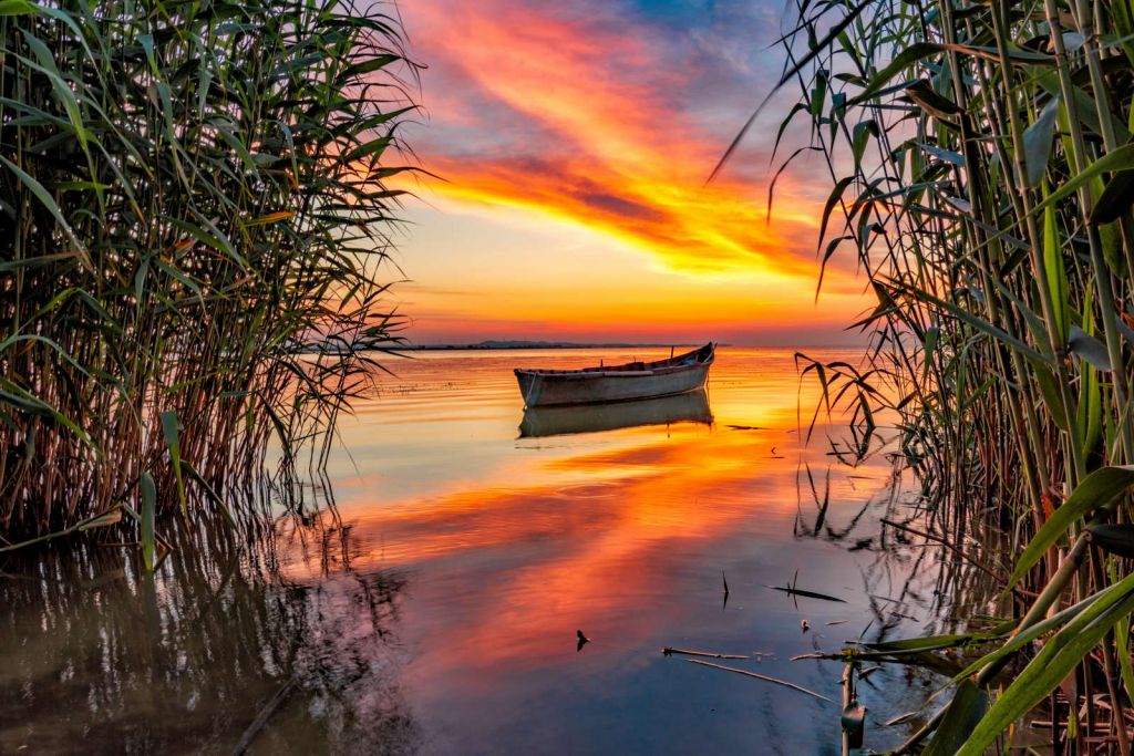 Boot met riet in de avond