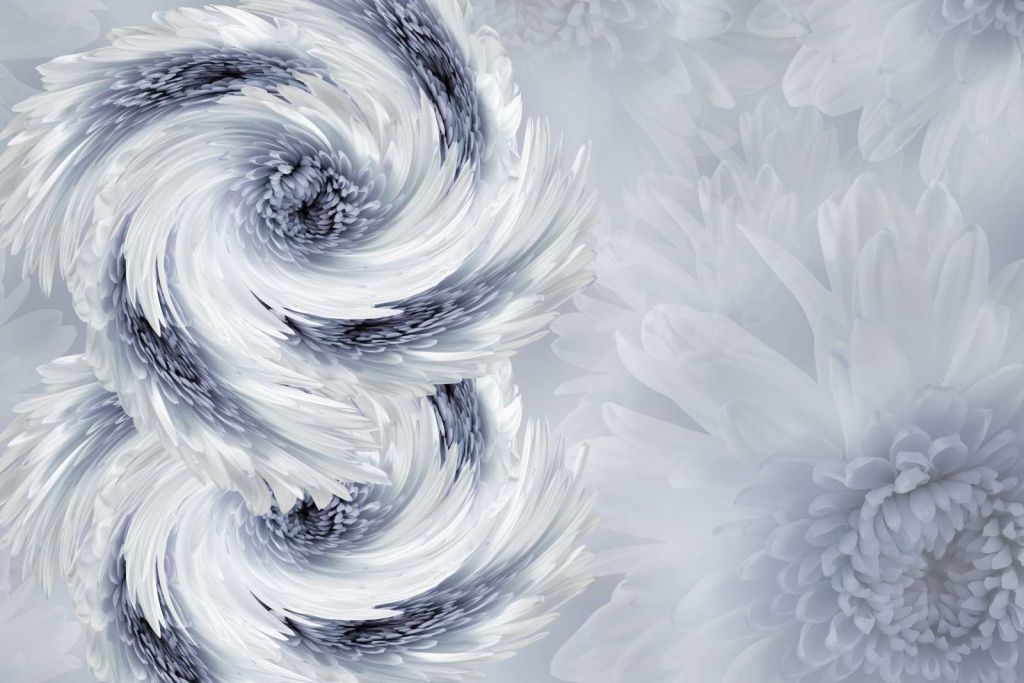 Chrysanthemum bloemen design