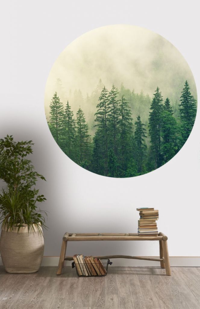 Wallpaper circle with pine trees and fog