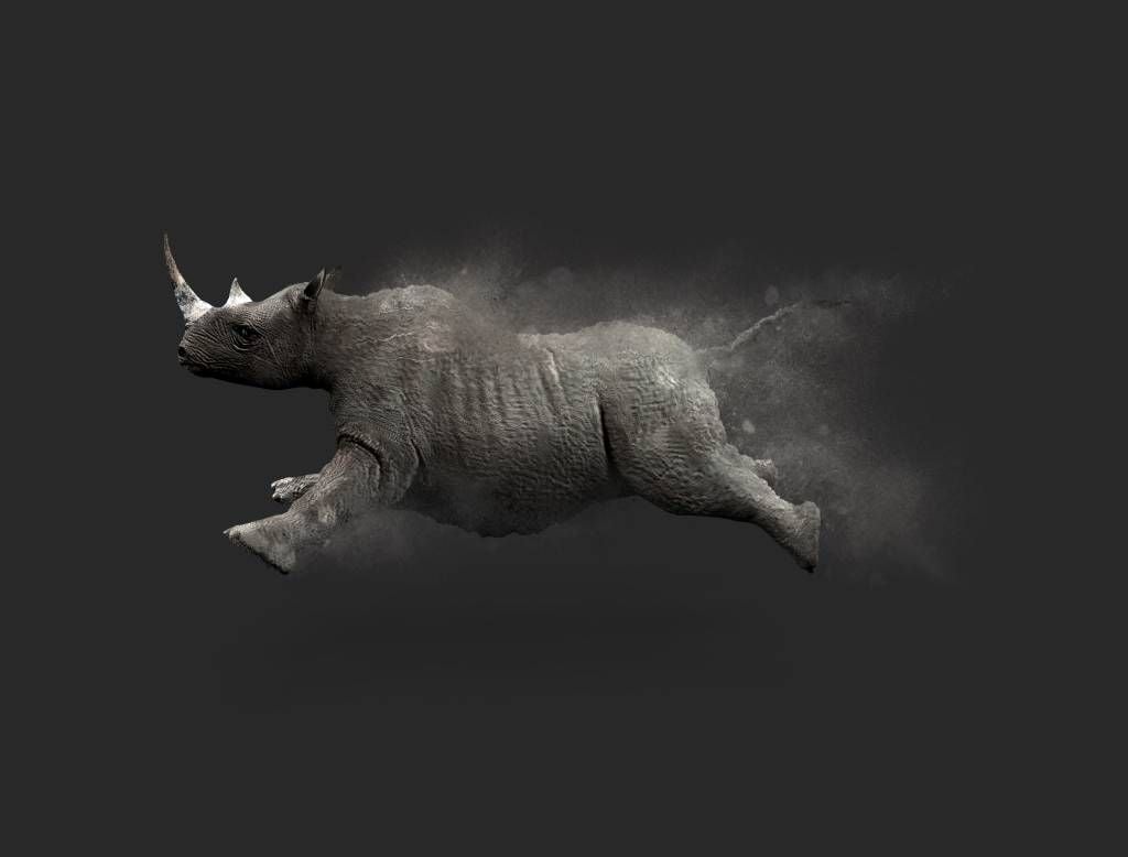 Jumping rhino