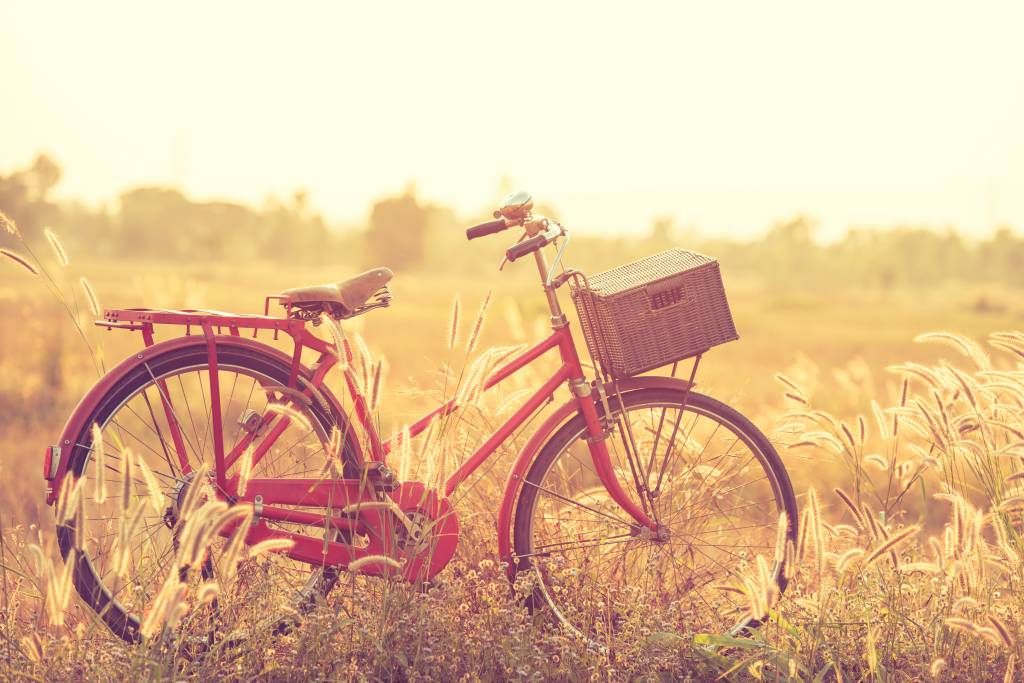 Vintage bike