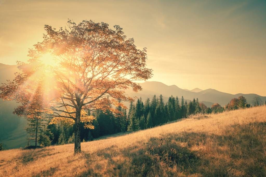 Sunset in a valley