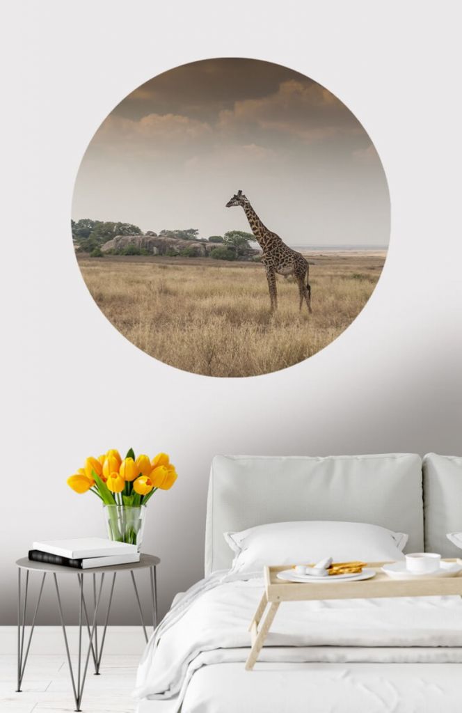 Wallpaper circle Giraffe on savannah
